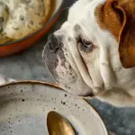 Bulldog Gravy