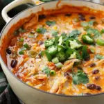 Chicken Enchilada Soup